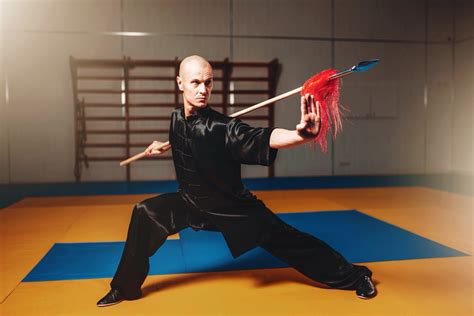 Martial Art Master brabet